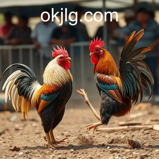 Gaming Experience OKJL - 800+ Premium and Exclusive Games